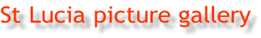 St Lucia picture gallery